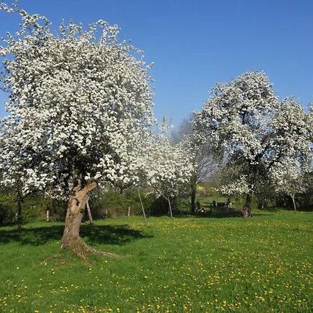 Casa rural Charmante Maison écologique Avec Jardin Clos - Fr-1-497-7 *