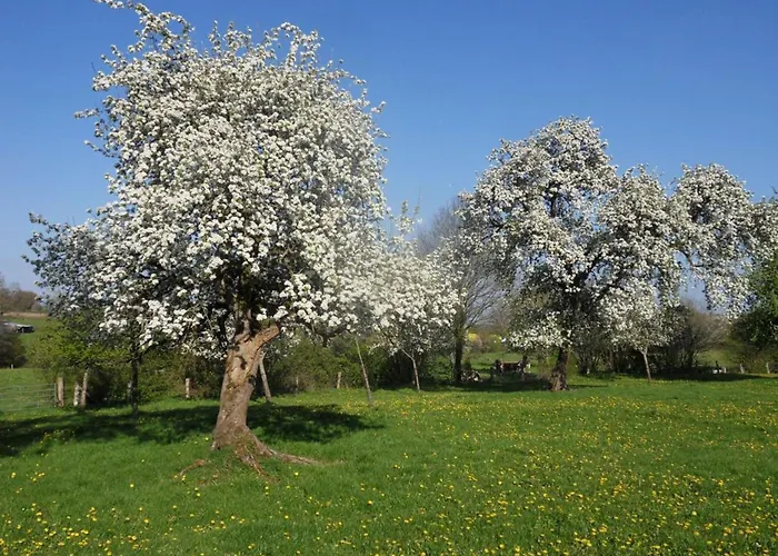Casa vacanze Charmante Maison écologique Avec Jardin Clos - Fr-1-497-7 *